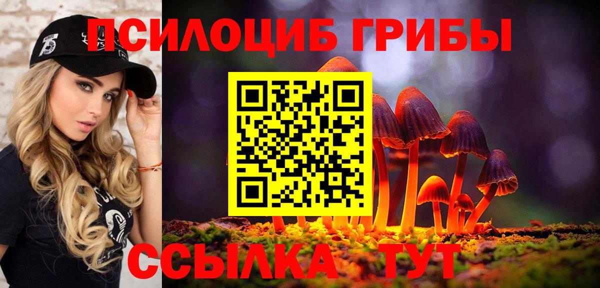 Псилоцибиновые грибы Cubensis  Вход с VPN  Элиста 